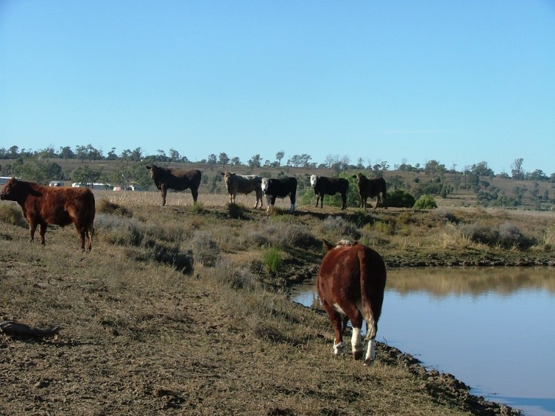 0 Jensen Road, Peranga QLD 4352