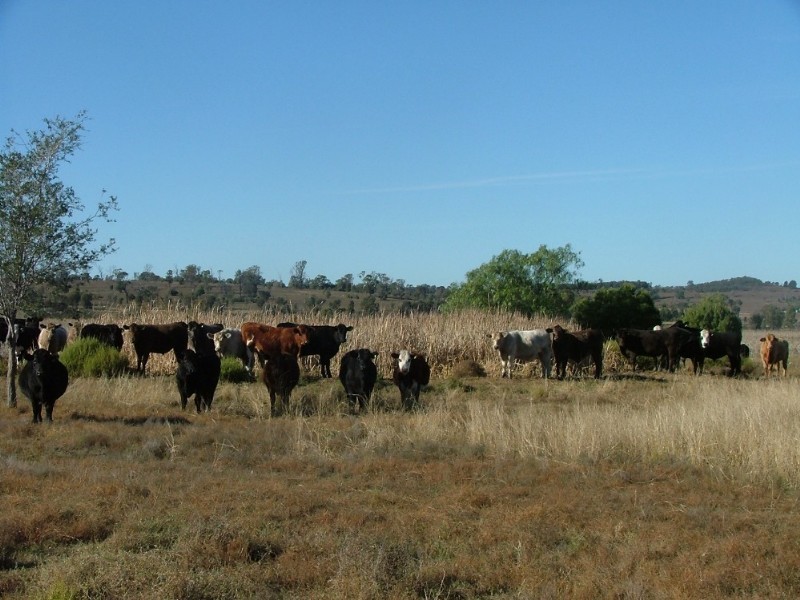 0 Jensen Road, Peranga QLD 4352