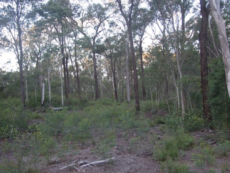 90 Old Emu Creek Road, Crows Nest QLD 4355