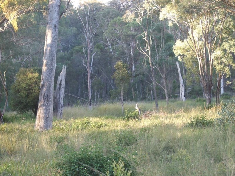 90 Old Emu Creek Road, Crows Nest QLD 4355