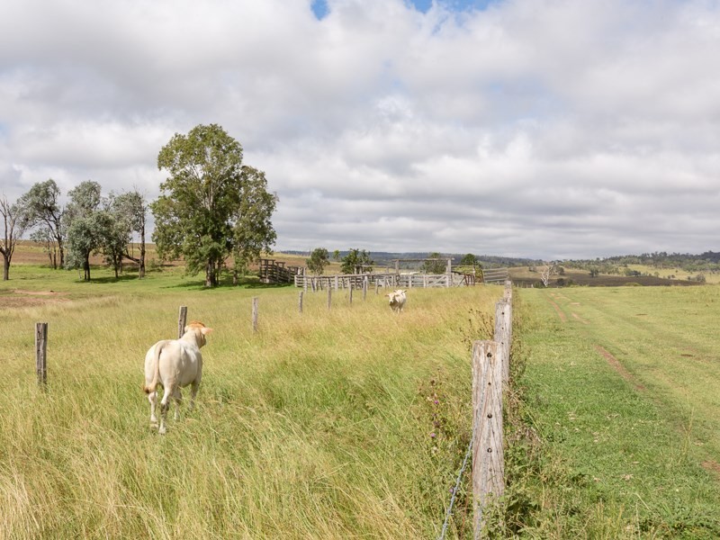 37 Maddern Road, Crows Nest QLD 4355