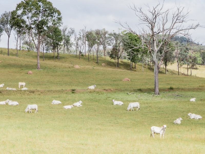 37 Maddern Road, Crows Nest QLD 4355