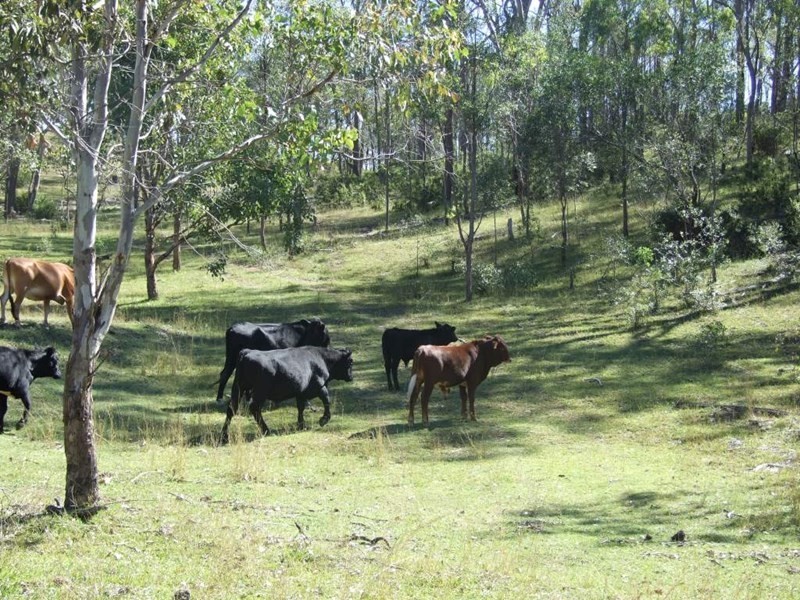L100 Fitch Road, Crows Nest QLD 4355