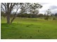 Lot 1 Pechey Maclagan Road, Groomsville QLD 4352