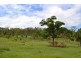 Lot 1 Pechey Maclagan Road, Groomsville QLD 4352