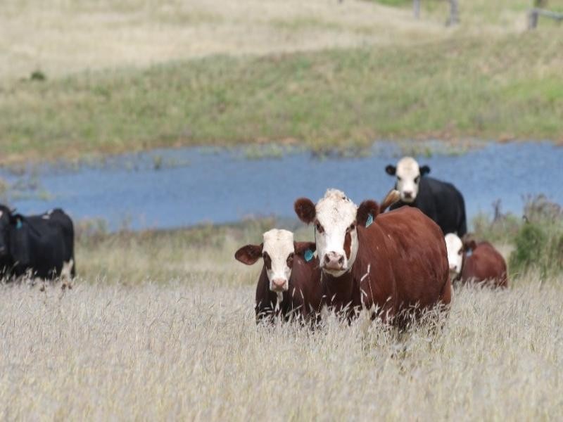 5758 New England Highway, Crows Nest QLD 4355