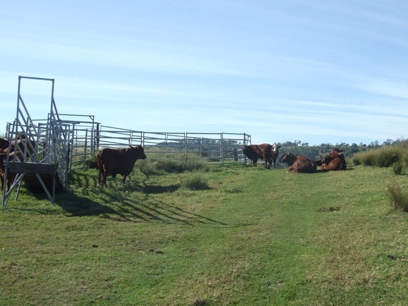 1191 Djuan Road, Haden QLD 4353