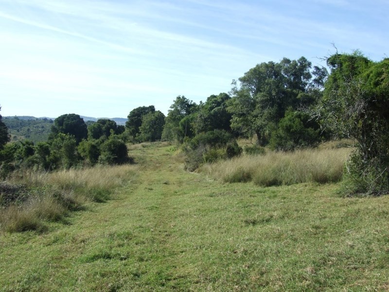 1191 Djuan Road, Haden QLD 4353