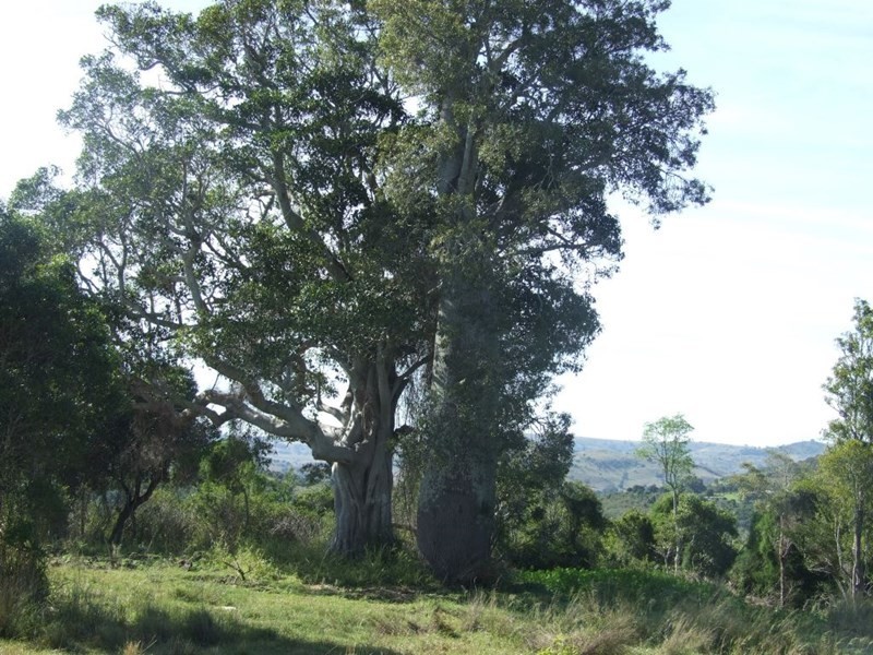 1191 Djuan Road, Haden QLD 4353