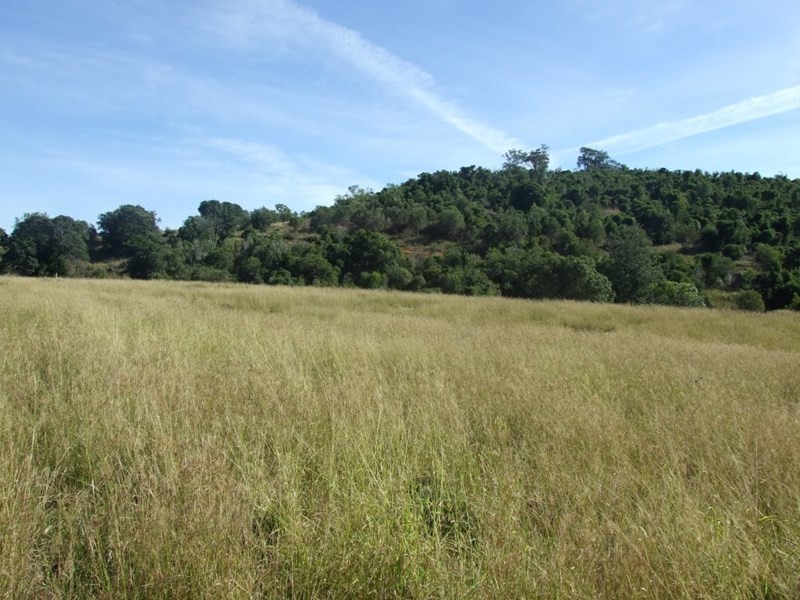 1191 Djuan Road, Haden QLD 4353