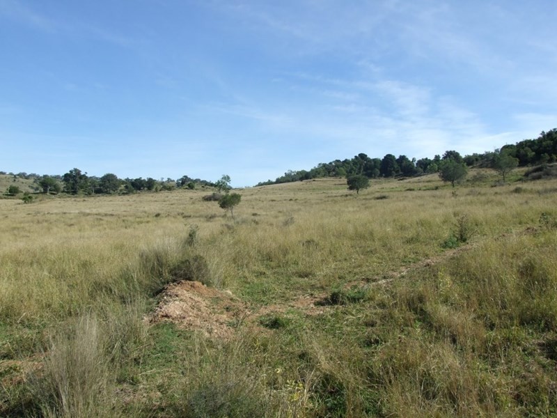 1191 Djuan Road, Haden QLD 4353