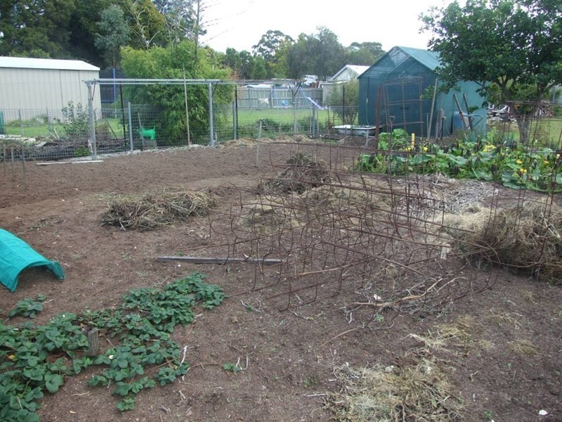 3 Lalor Street, Crows Nest QLD 4355