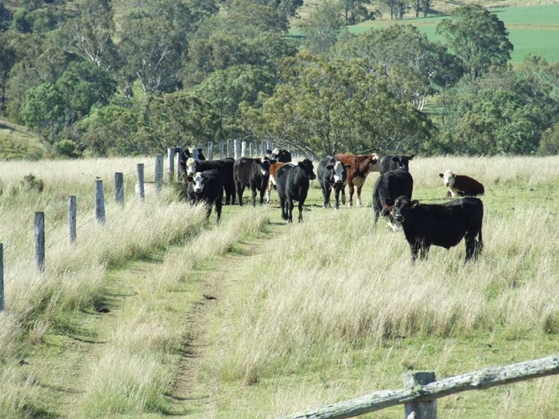 L260 Schultz Road, Coalbank QLD 4352