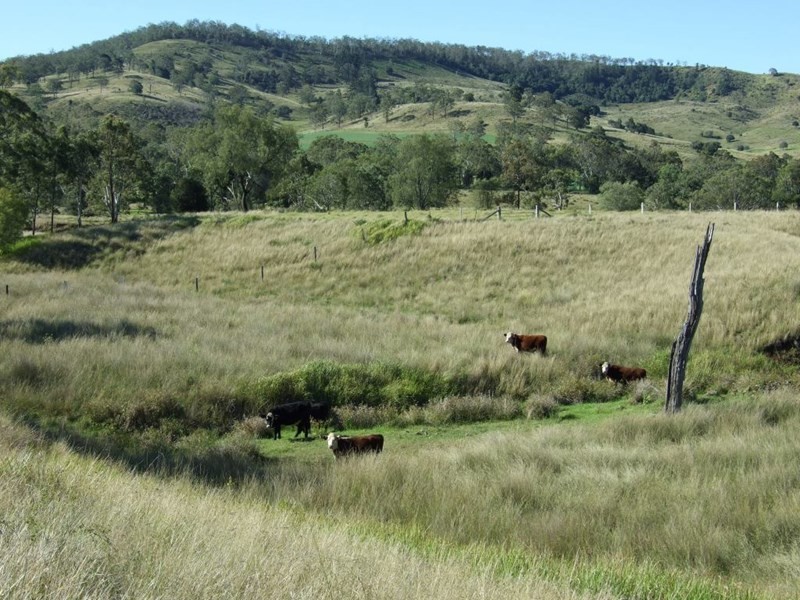 L260 Schultz Road, Coalbank QLD 4352