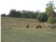 1205 Pechey maclagan Road, Groomsville QLD 4352