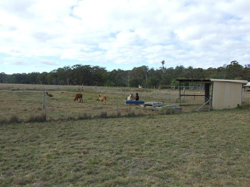 1205 Pechey maclagan Road, Groomsville QLD 4352