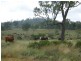 000 Scherger Road, Thornville QLD 4352