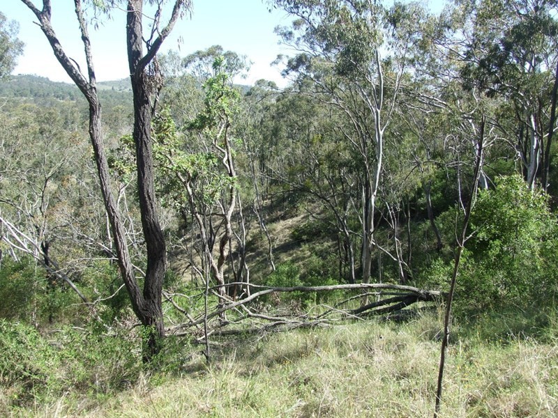 000 Cooyar Rangemore Road, Cooyar QLD 4402