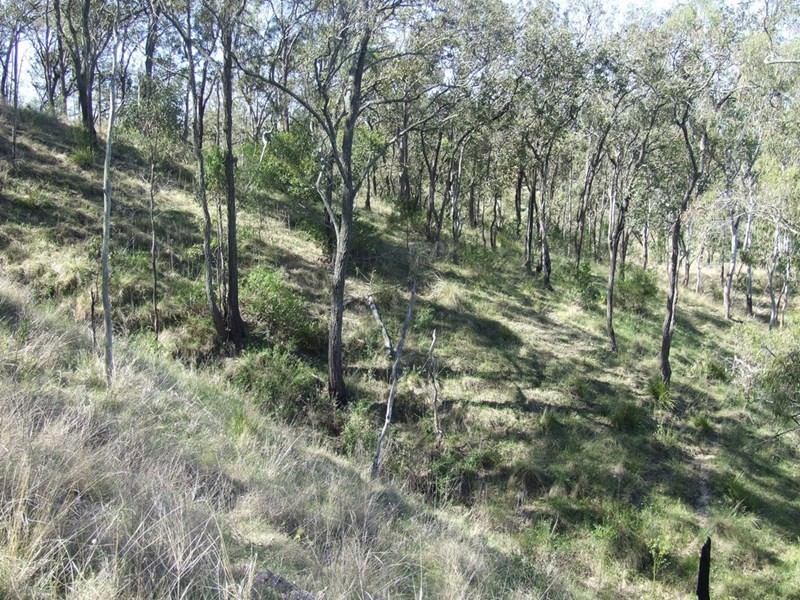 000 Cooyar Rangemore Road, Cooyar QLD 4402