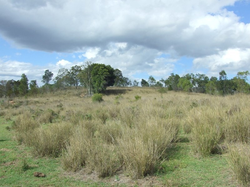 L191 Schmaling Road, Groomsville QLD 4352