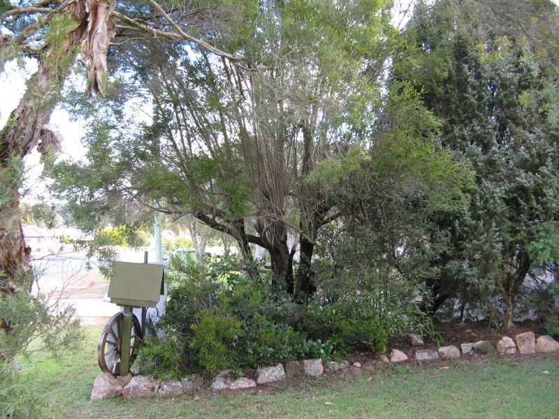 46 Charles Street, Crows Nest QLD 4355
