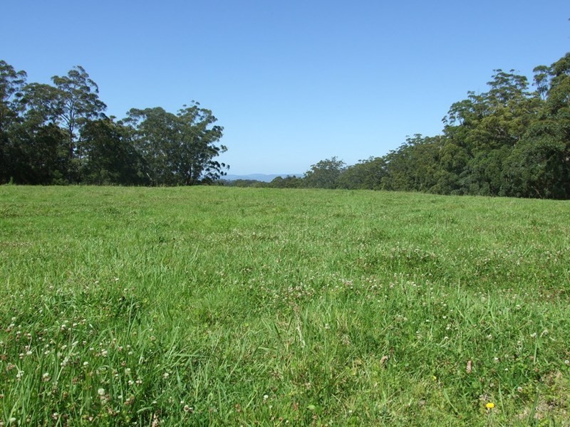 447 National Park Road, Ravensbourne QLD 4352