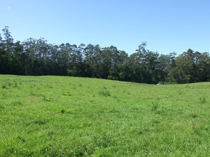 447 National Park Road, Ravensbourne QLD 4352