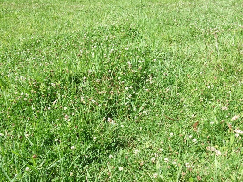 447 National Park Road, Ravensbourne QLD 4352