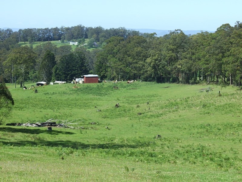 447 National Park Road, Ravensbourne QLD 4352