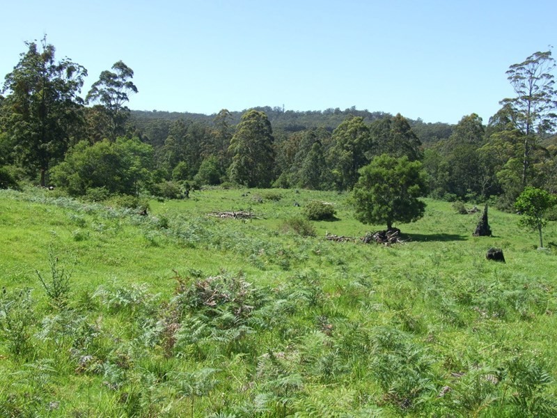 447 National Park Road, Ravensbourne QLD 4352