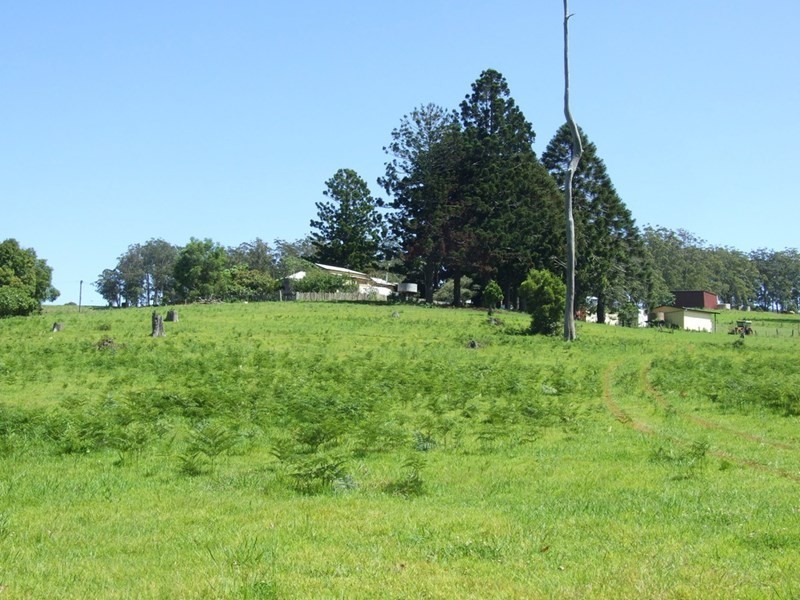 447 National Park Road, Ravensbourne QLD 4352