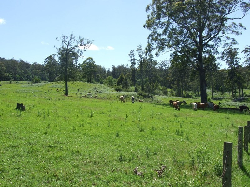 447 National Park Road, Ravensbourne QLD 4352