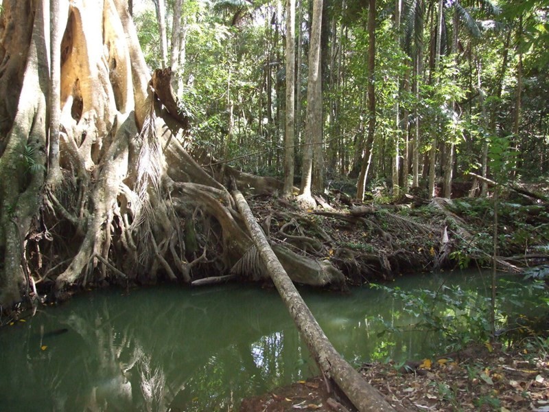 447 National Park Road, Ravensbourne QLD 4352