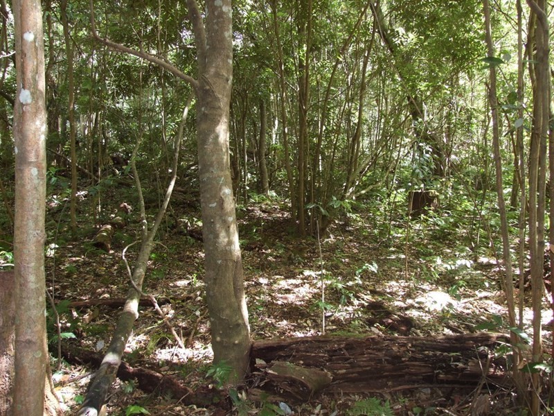 447 National Park Road, Ravensbourne QLD 4352