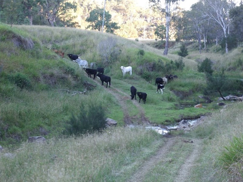 90 Old Emu Creek Road, Emu Creek QLD 4355