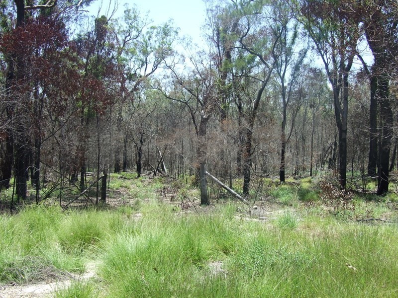 90 Old Emu Creek Road, Emu Creek QLD 4355