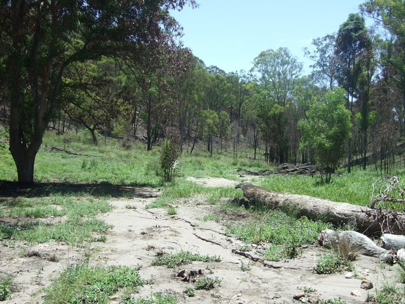 90 Old Emu Creek Road, Emu Creek QLD 4355