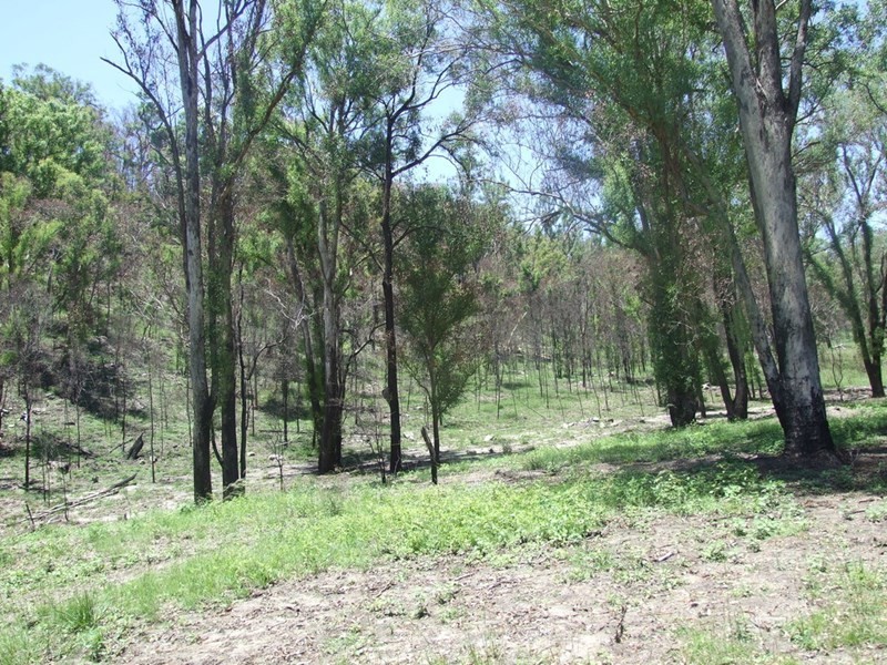 90 Old Emu Creek Road, Emu Creek QLD 4355