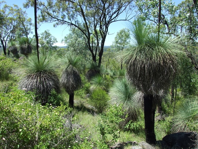 L1 Emu Creek Road, Emu Creek QLD 4355