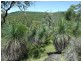 L1 Emu Creek Road, Emu Creek QLD 4355