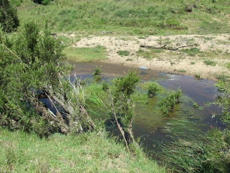 L4 Pierce Creek Road, Emu Creek QLD 4355