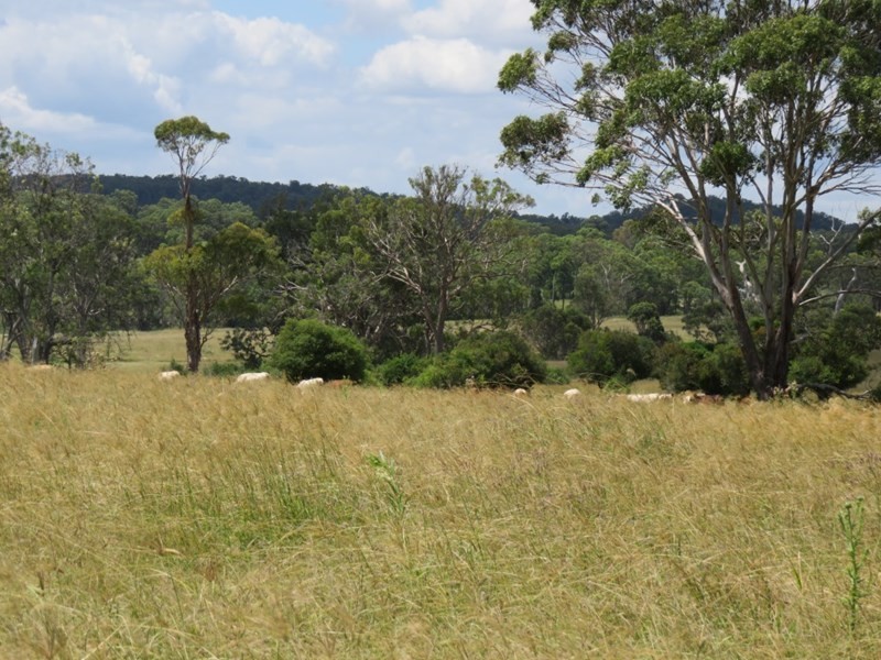 Lot 1 and 2 New England Highway, Crows Nest QLD 4355