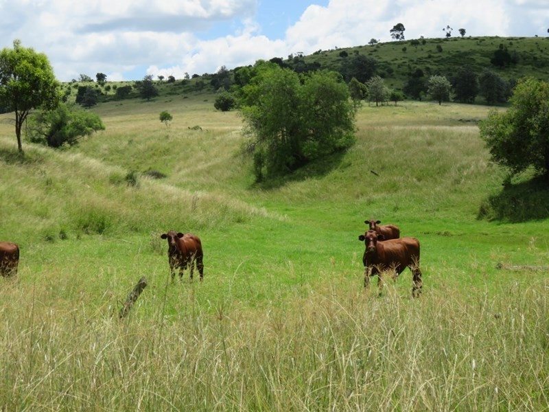 Lot 1 and 2 New England Highway, Crows Nest QLD 4355