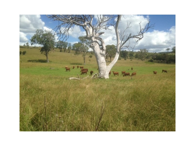 Lot 1 and 2 New England Highway, Crows Nest QLD 4355