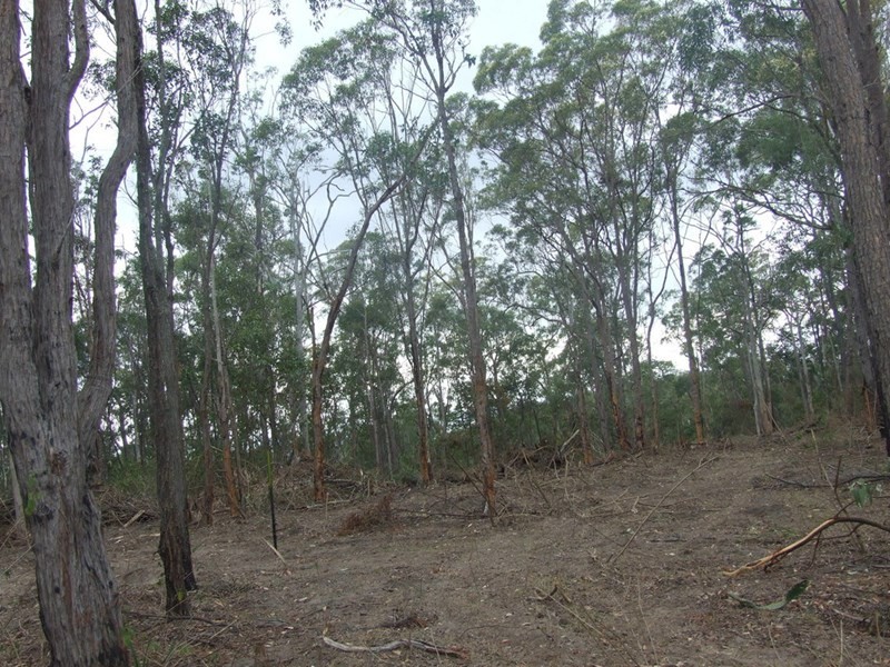 L204 Dahl Road, Crows Nest QLD 4355