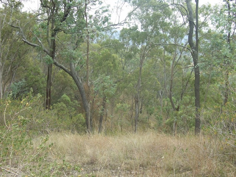 L204 Dahl Road, Crows Nest QLD 4355