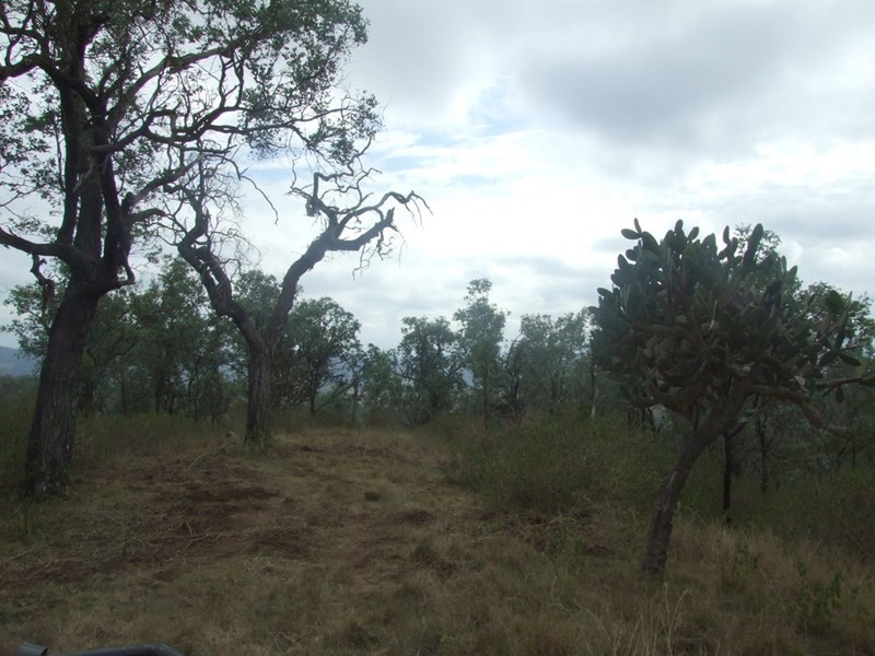 L204 Dahl Road, Crows Nest QLD 4355