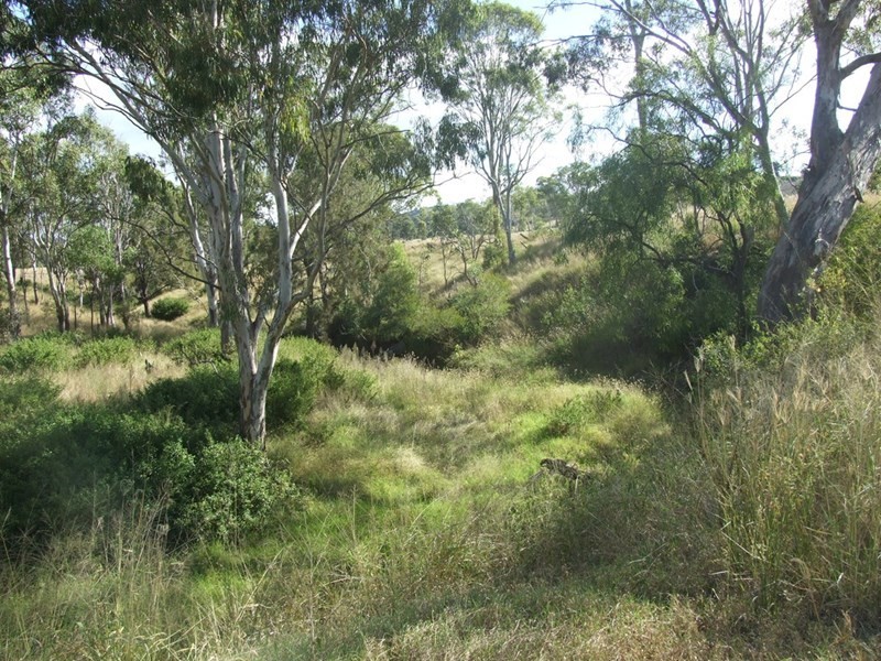 19 Schick Road, Thornville QLD 4352