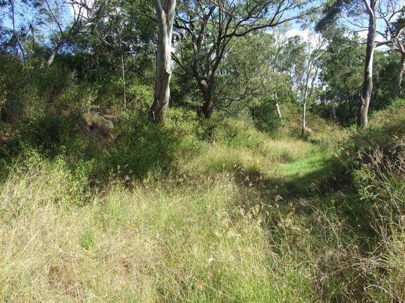 19 Schick Road, Thornville QLD 4352