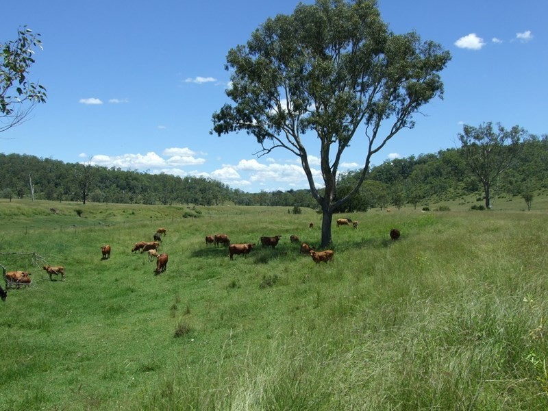1072 Emu Creek Road, Emu Creek QLD 4355